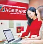 Ngân Hàng Agribank Có Phải Là Ngân Hàng Nhà Nước Không