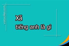 Texgamex Xkld Là Gì Ạ Tiếng Anh Là Gi