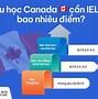 Yêu Cầu Ielts Du Học Canada